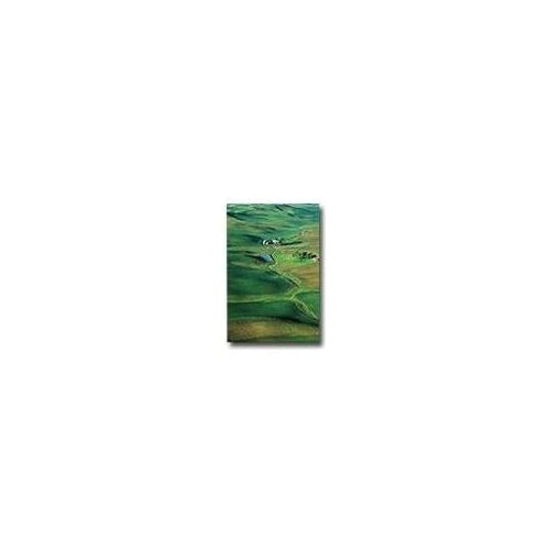 Epson Premium - Seidenmattfotopapier - A3 (297 x 420 mm) - 251 g/m2 - 20 Blatt (C13S041334) afbeelding 1