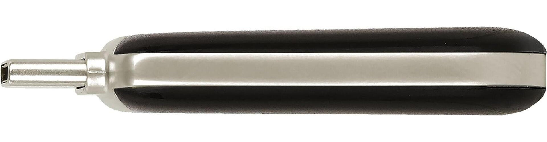 Verbatim PLECTRA USB-C FLASH DRIVE BLACK 256GB (30226) afbeelding 1