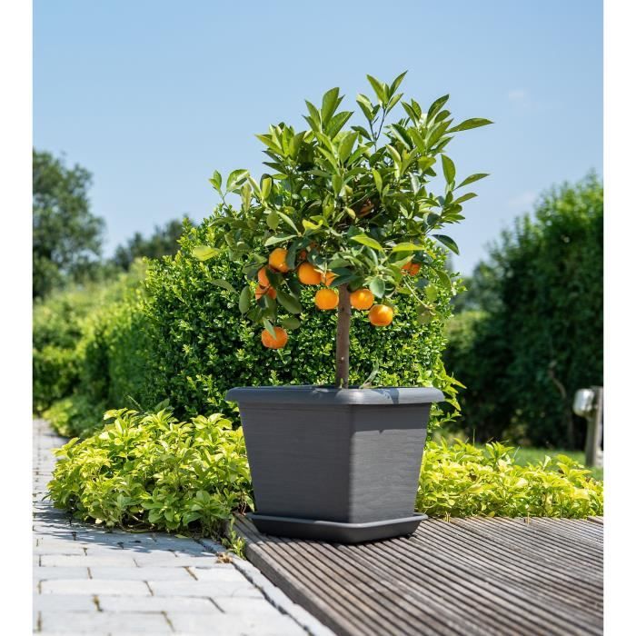 GARDEN ID Teramo Square Flower Pot - Black-Anthracite 40 x 35 cm - Scratch Resistant