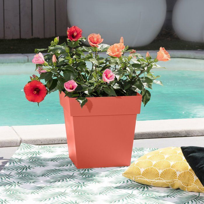 Square Flower Pot - EDA - Tuscany - 32 cm - 22 L - Indoor/Outdoor - 32 x 32 x H.32 cm - Terracotta
