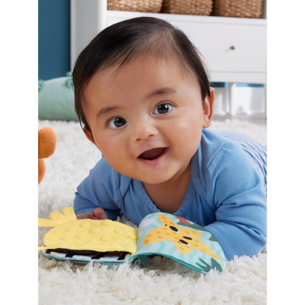 Fisher Price 2-in-1 Rocking Otter Plush Toy - Tummy Time to Sitting Play