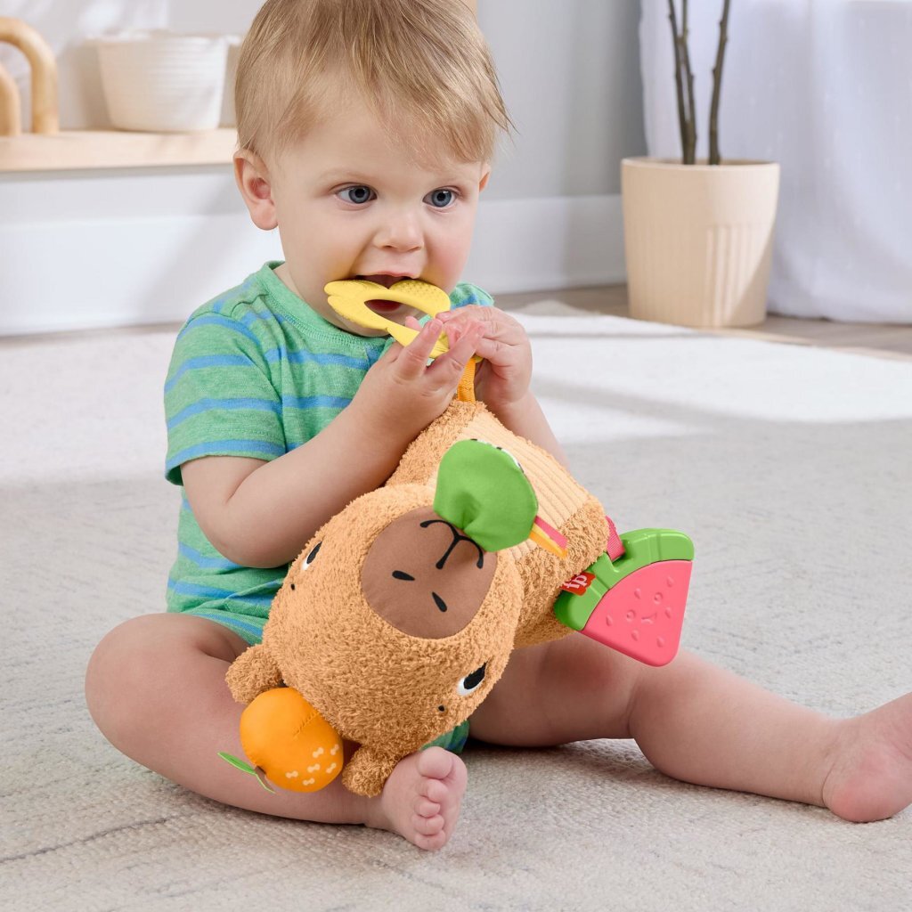Fisher Price New Born Sensimals Snacky Capibara