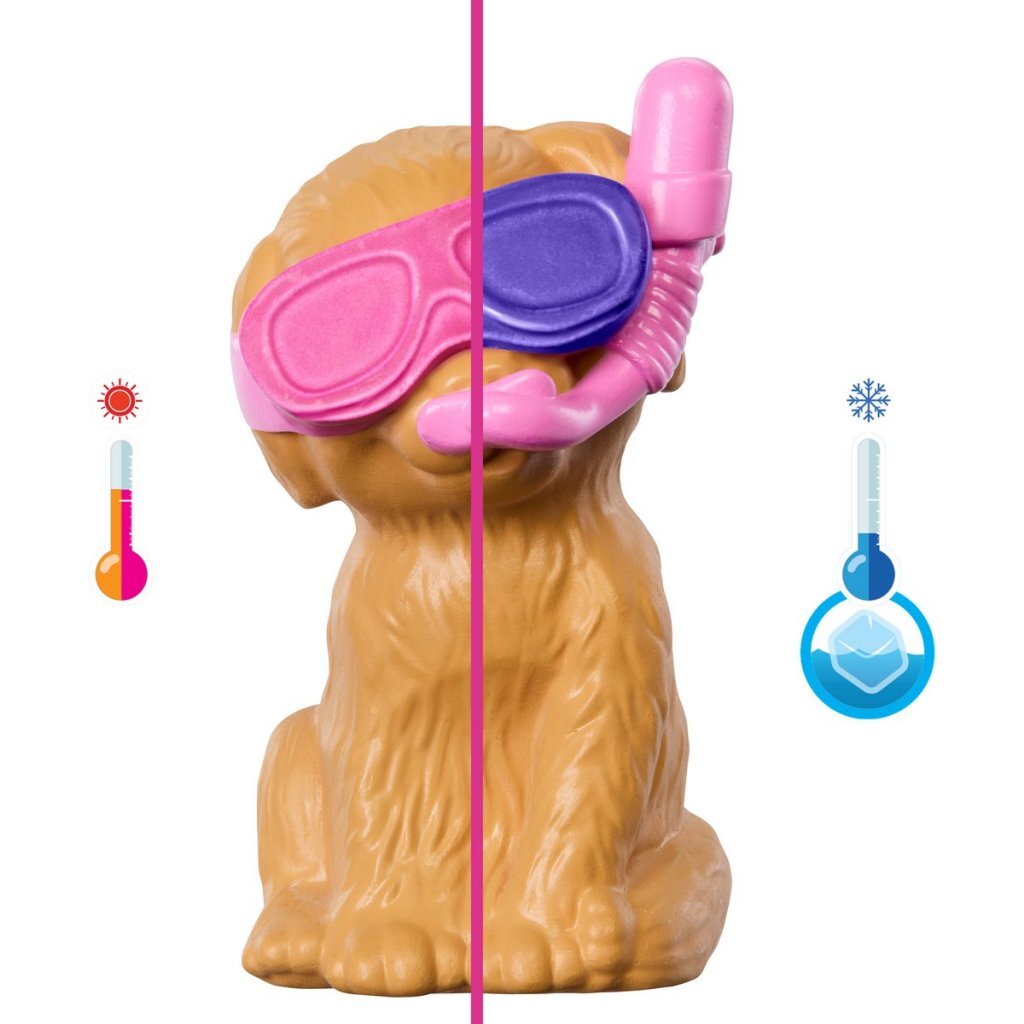 Barbie Family Puppy Pool Party Playset with Doll and Accessories