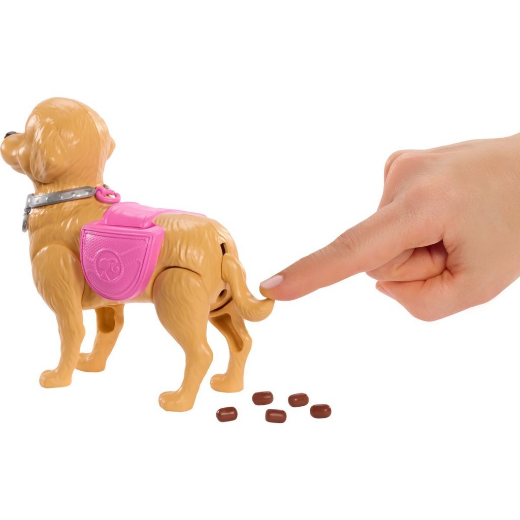 Barbie Family & Friends Walk & Potty Playset with Doll and Accessories