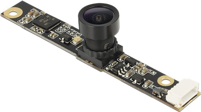 DeLOCK - USB2.0 Kameramodul 3,14Mp - 5 V (95979)