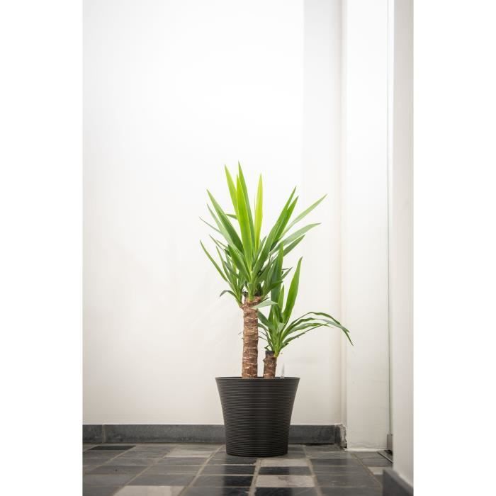 Green Care Sense Flower Pot - Black-Anthracite, 100% Recycled Design, UV and Frost Resistant