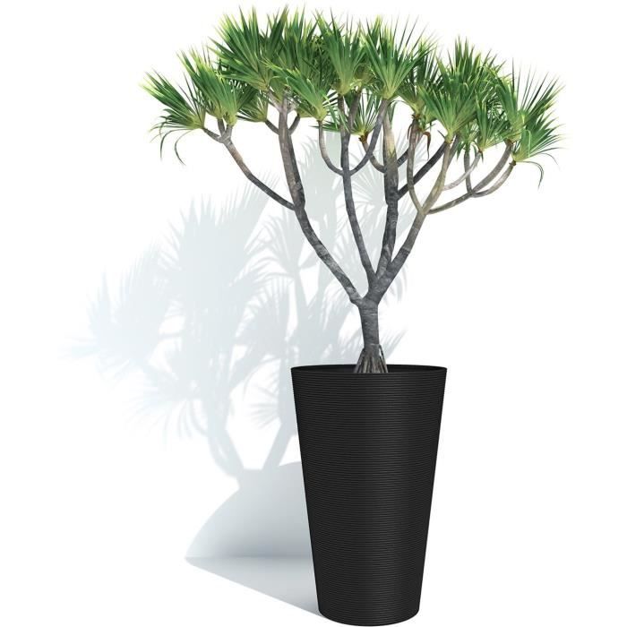 GARDEN ID Tall Flower Pot - Green Care Sense Black-Anthracite - 55 cm - 100% Recycled - UV and Frost Resistant