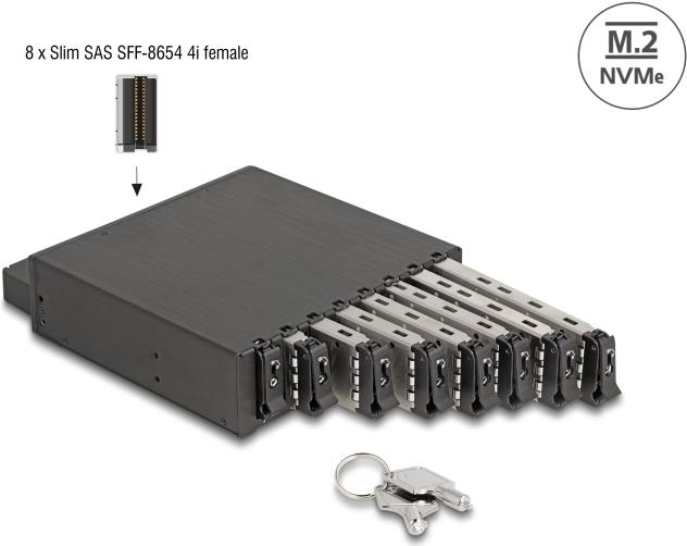 Delock - Mobile Storage Rack - M.2 (47129)