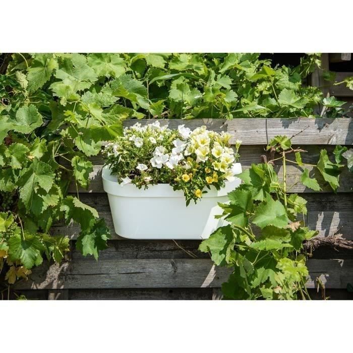 GARDEN ID Planter + Hook - Star White - 50 x 21 cm - Easy to Install - Water Reservoir - Recycled and 100%
