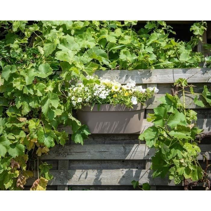 GARDEN ID Planter + Hook - Star Taupe - 50 x 21 cm - Easy to Install - Water Reservoir - Recycled and 100%