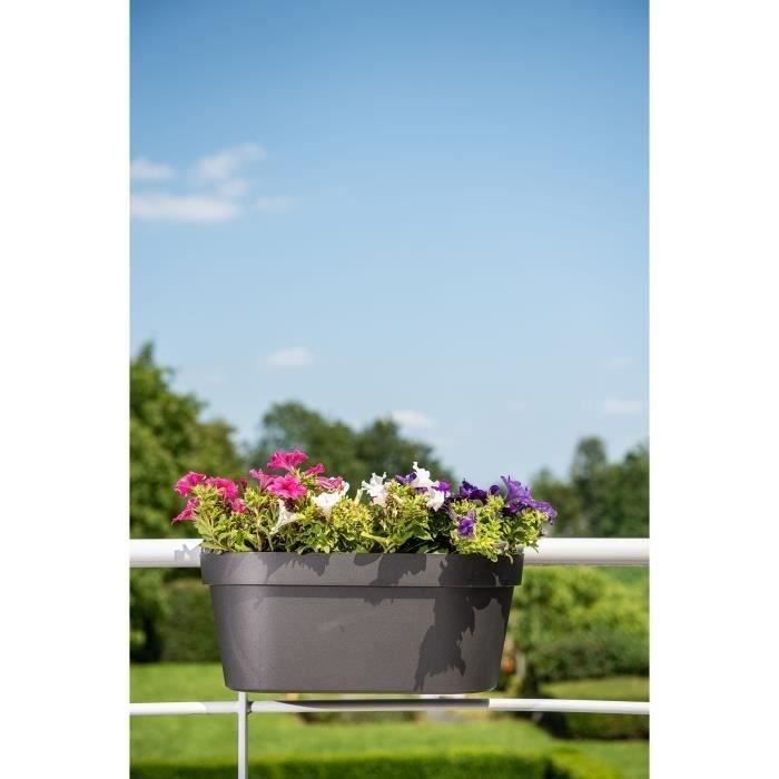 GARDEN ID Planter + Hook - Star Black-Anther - 50 x 21 cm - Easy to Install - Water Reservoir - Recycled and 100%
