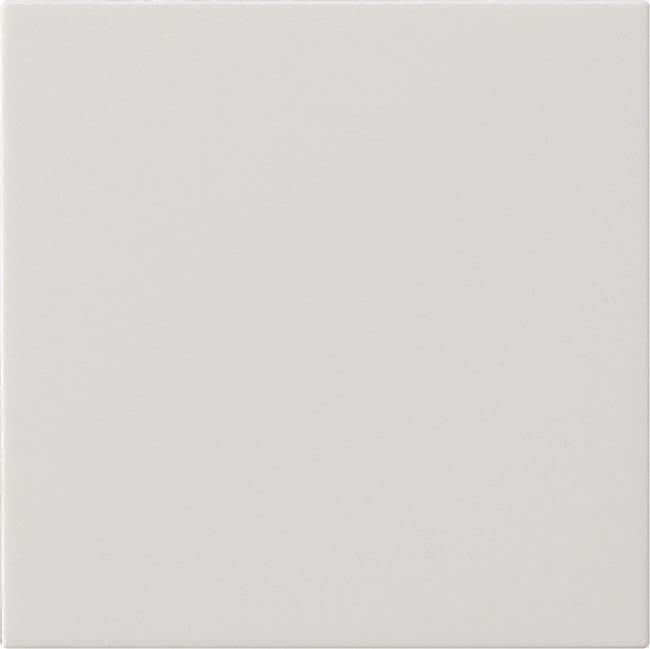 Gira System 3000 Control Button 55 Pure White - 536027 S3000