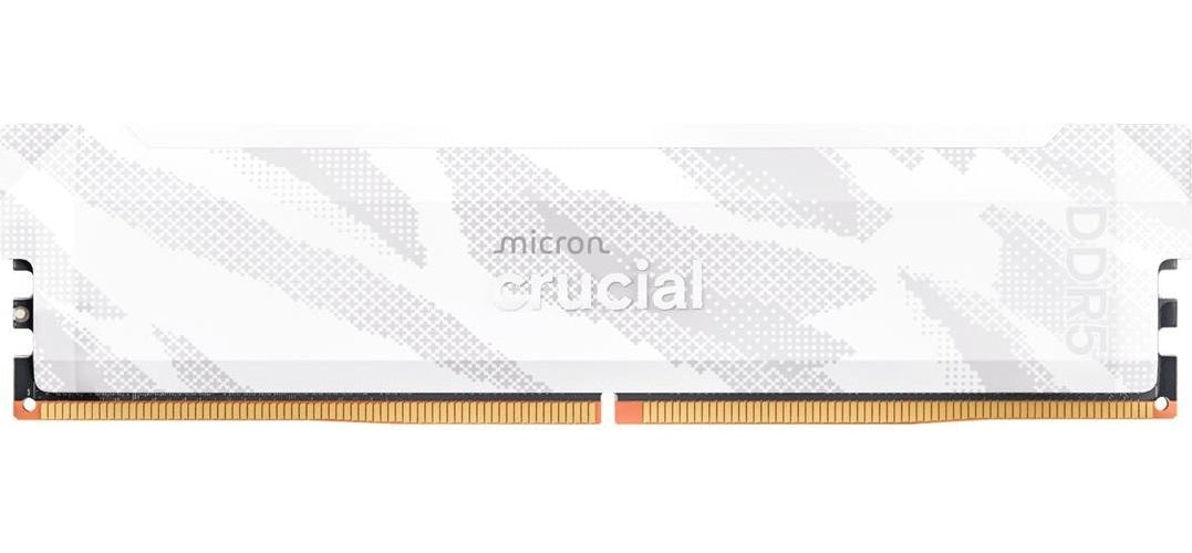Micron Crucial Pro OC - DDR5 - Modul - 16 GB - DIMM 288-PIN (CP16G64C32U5W) afbeelding 1