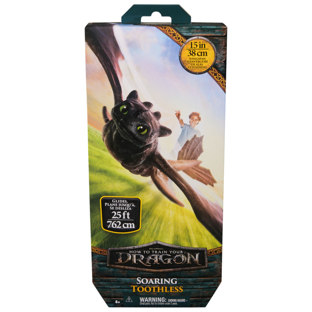 How To Train Your Dragon Simple Flight Toothless