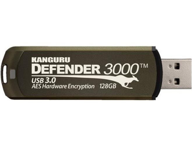 Kanguru Encrypted Defender 3000 - USB-Flash-Laufwerk - verschlüsselt - 16 GB - USB 3.2 Gen 1 - FIPS 140-2 Level 3 - TAA-konform (KDF3000-16G) afbeelding 1