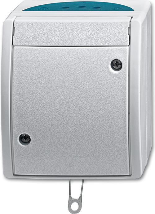 Busch Jaeger 2CKA001383A0141 Electric pull chain switch Silver (2CKA001383A0141)