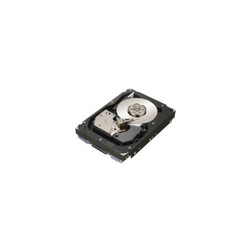 Dell - Festplatte - 300 GB - intern - 6.4 cm ( 2.5" ) - SAS 6Gb/s - 10000 U/min afbeelding 1