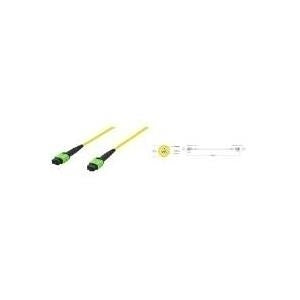 Digitus LWL-MPO Patch Cable MPO Connector - MPO Connector 5.0 m OS2 Singlemode 09/125 my 12 Fibers DK-2966-05