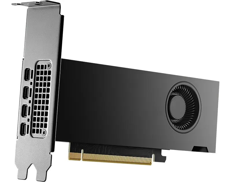 NVIDIA RTX 2000 Ada Generation - Grafikkarten - NVIDIA RTX 2000 Ada - 16GB GDDR6 - PCIe 4,0 x16 - 4 x Mini DisplayPort - retail (900-5G192-2541-000) - 0810152850046 - afbeelding 1