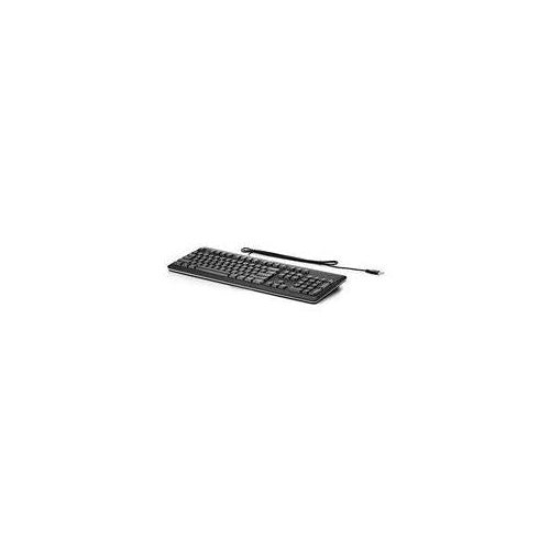 HPE Standard - Tastatur - USB - Spanisch - silver, Carbonite - für MultiSeat t200, Compaq Business Desktop dc7700, Flexible Thin Client t510 afbeelding 1