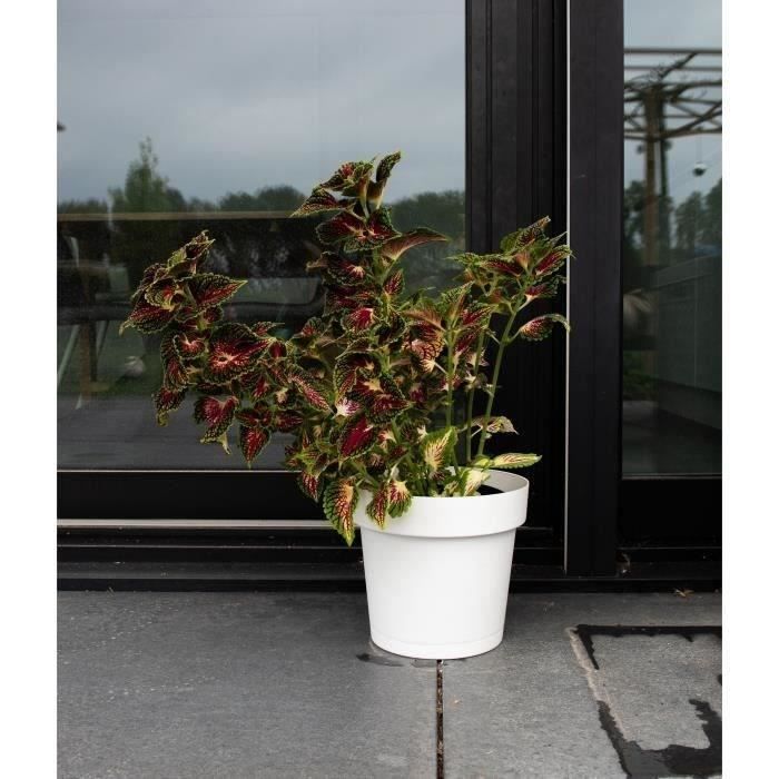GARDEN ID Glamour Self-watering Planter 40 cm - White - Indoor/Outdoor