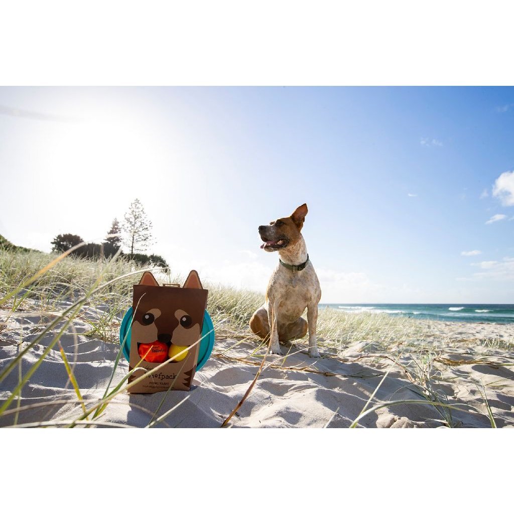 Waboba Woofpack - Set of 3 Dog Toys for Fetching