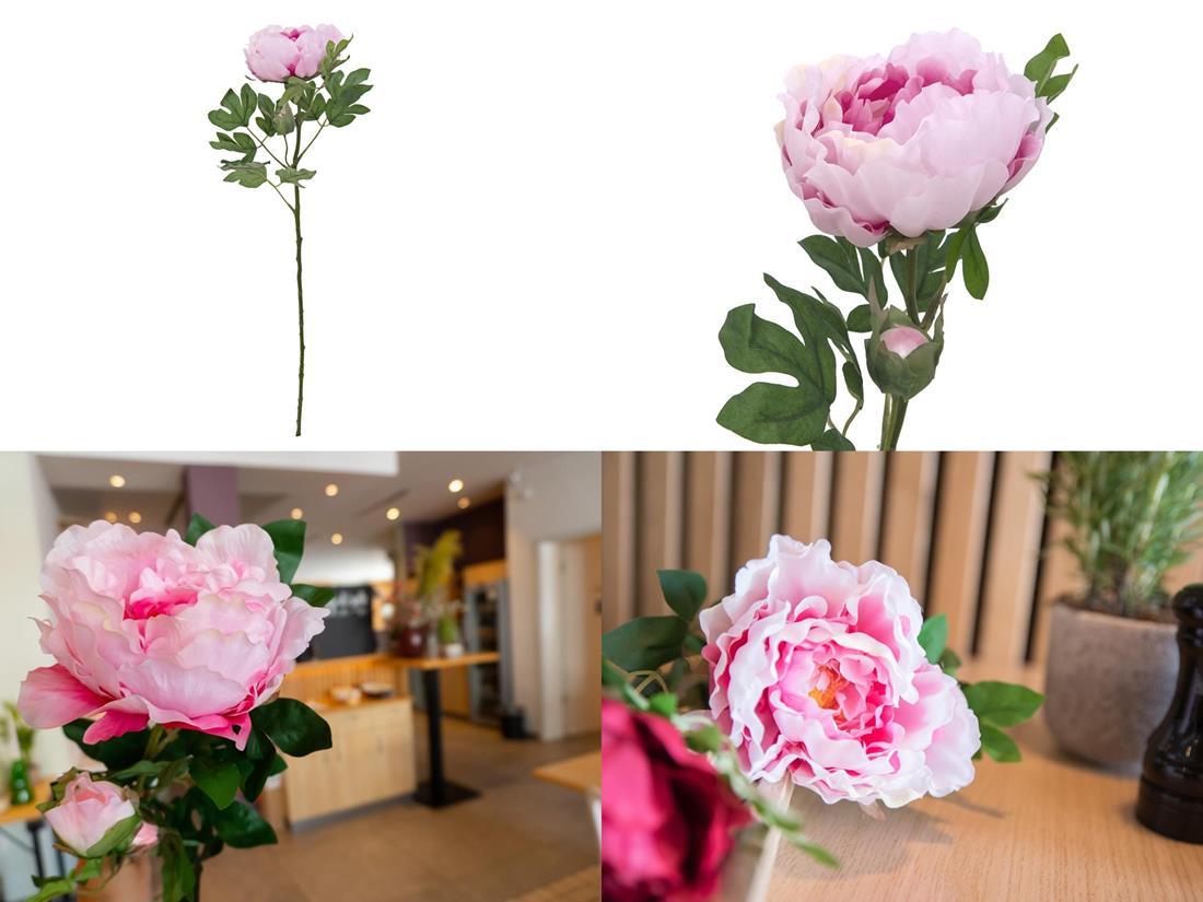 Pos 1 — EAN 4026397616866