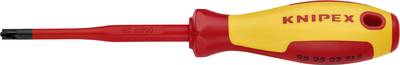 Knipex VDE Plus/Minus Screwdriver PZ 2, Blade Length: 100 mm (98 25 02 SLS)