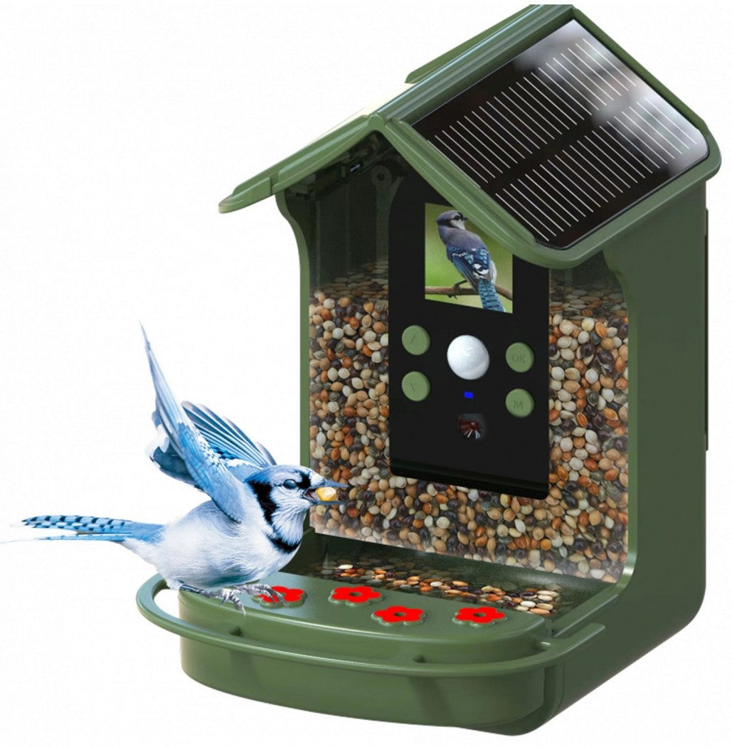 BRAUN PHOTO Bird Cam 130 Solar Wildkamera mit Futterspender Grün (57647)