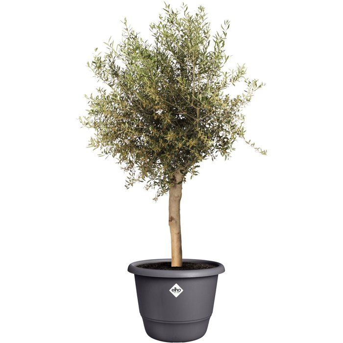 ELHO Amiga Round Flower Pot 55 - Black - Ø 55 x H 51 cm - Outdoor