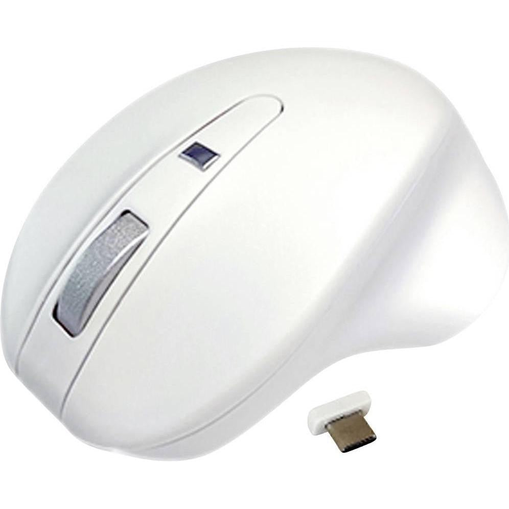 Pos 1 — EAN 0833742007590