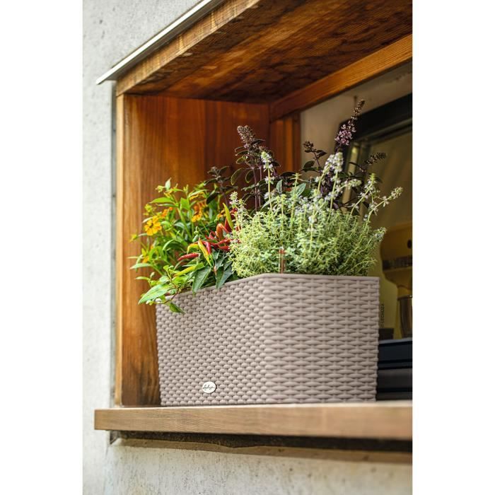 LECHUZA Gardener - Cottage Balcony 50 - 50 x 19 x 19 cm - 8 L - Complete Kit - Sandable