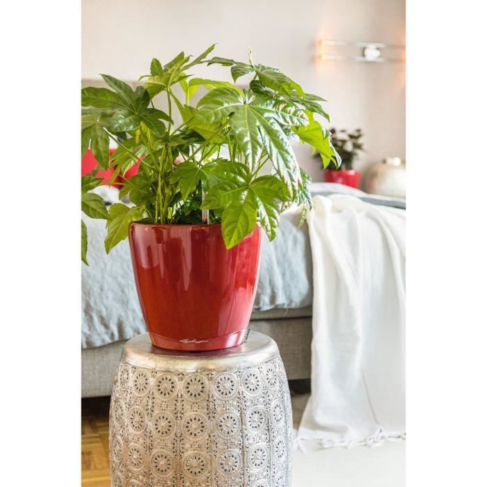 LECHUZA Flower Pot - Classico Premium LS 21 - Ø 22 x 20 cm - 3 L - Complete Kit - Automatic Watering -