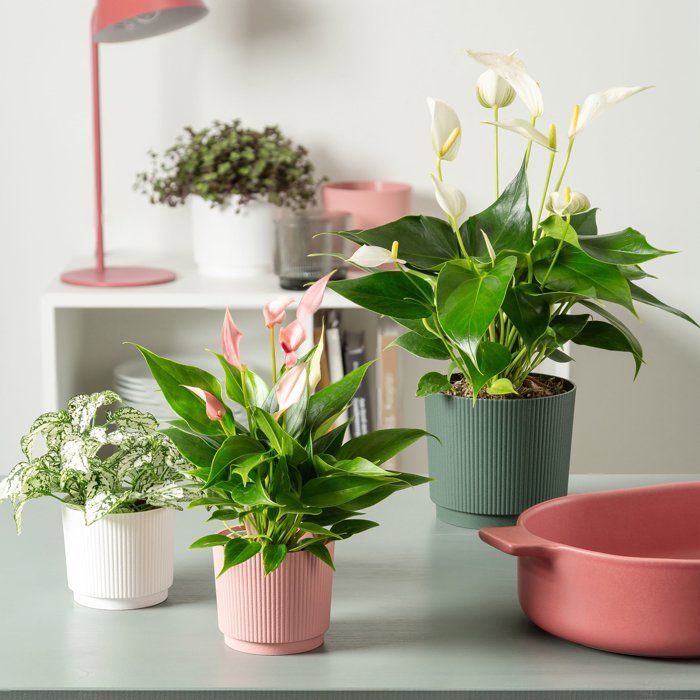 Round Cache-Pot - GARDEN ID - Lino - Ø 25 - 7 L - H 22 cm - White