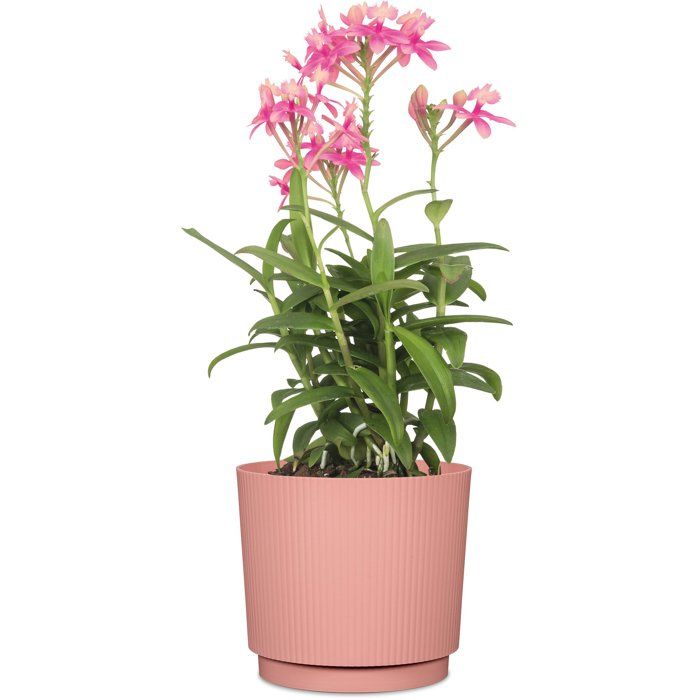 Round plant pot - GARDEN ID - Lino - Ø 25 - 7 L - H 22 cm - Pink