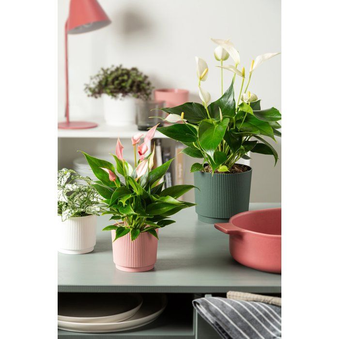 Round plant pot - GARDEN ID - Lino - Ø 25 - 7 L - H 22 cm - Dark green