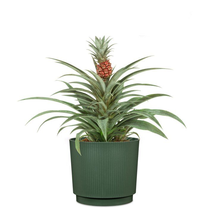 Round plant pot - GARDEN ID - Lino - Ø 25 - 7 L - H 22 cm - Dark green