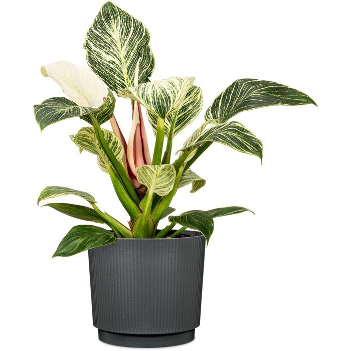 Round cache-pot - GARDEN ID - Linen - Ø 25 - 7 L - H 22 cm - Anthracite
