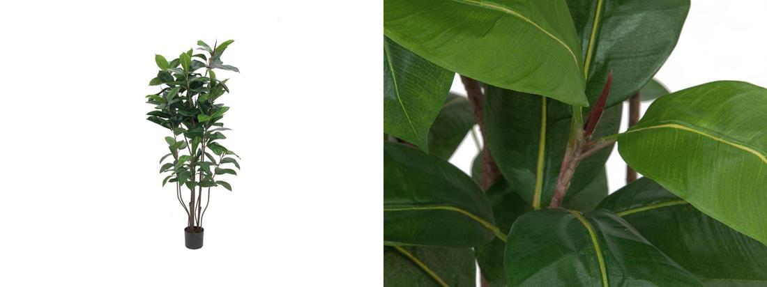 EUROPALMS Rubber Tree - Artificial Plant - 150 cm