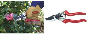 C.K Tools Premium Garden Shears, 215 mm, Extra Sharp Blade (G5631)