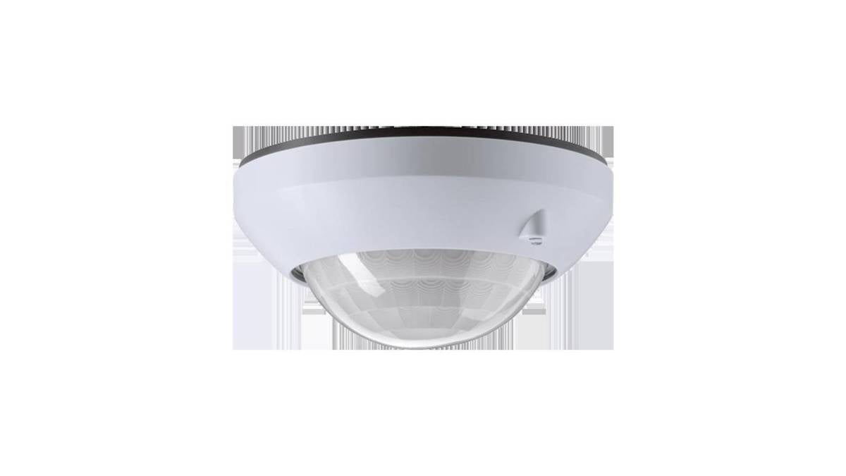 Pos 1 — EAN 4011377202641