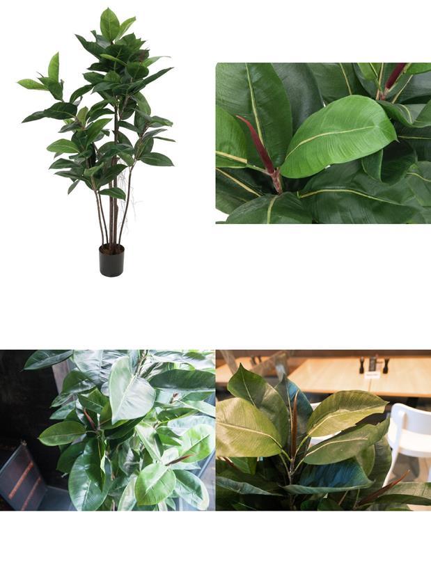 Pos 1 — EAN 4026397462067