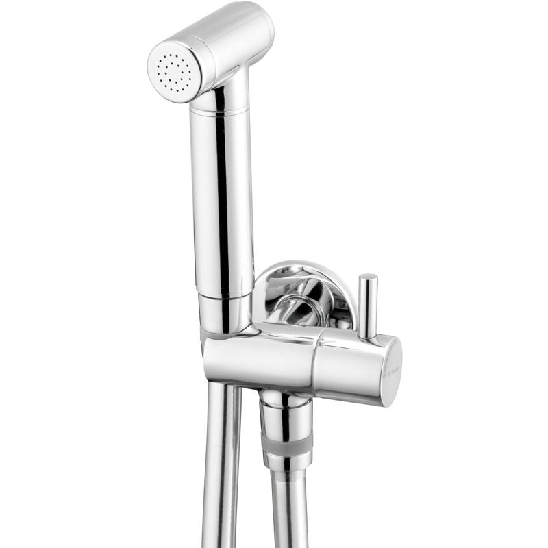 Deante Point Bidetta Set with Angled Connection - Receiver Holder