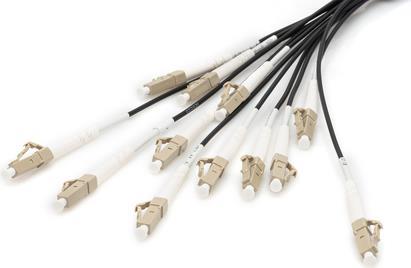 DIGITUS Pre-assembled Fiberglass Universal Breakout Cable, OM4, 12 Fibers, LC/UPC - LC/UPC, 30 m