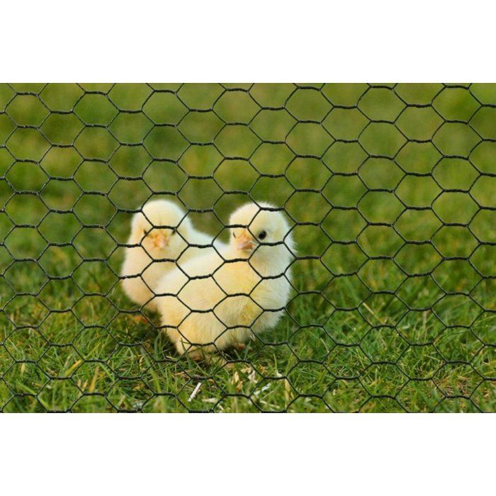NATURAL Galvanized Hexagonal Wire Mesh - 0.5 x 3 m - 13 mm Thickness - Green