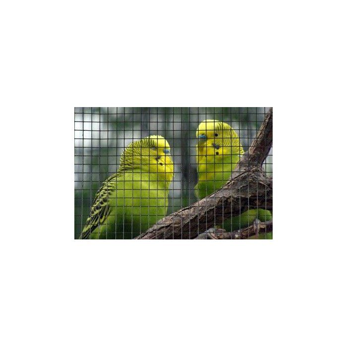 Square Wire Mesh - NATURAL - 1 x 3 m - 12.7 mm Thick - Green