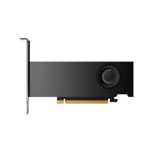 PNY NVIDIA - Grafikkarten - NVIDIA RTX 2000 Ada - 16GB GDDR6 - PCIe 4,0 x8 - 4 x Mini DisplayPort (VCNRTX2000ADA-PB) afbeelding 1
