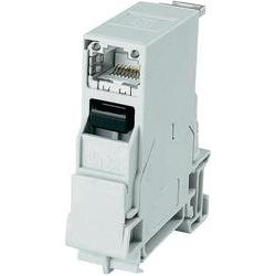 Telegärtner STX - DIN-Ausgang für Schienenmontage - RJ-45 - Hellgrey (J80023A0001)