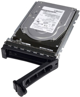 Dell Hard Drive Encrypted 2.4TB Hot-Swap 2.5" SAS 12Gb/s 10000 RPM FIPS Self-Encrypting Drive for PowerEdge C6420 (400-AVHG)