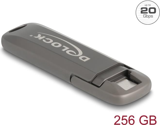 Delock USB 20 Gbps USB-C Flash Drive 256 GB Read Speed 1980 MB/s